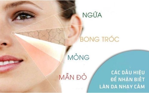 Da mặt- Hướng  dẫn cách phân biệt các loại da